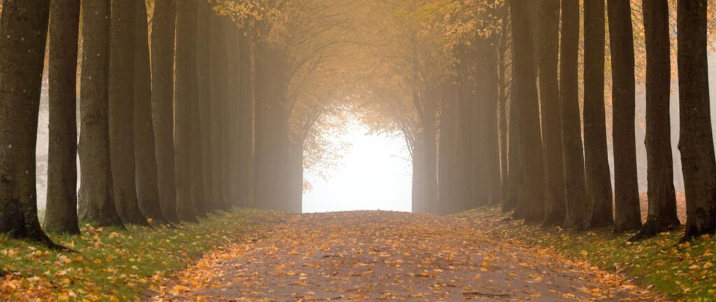 How to Easily Integrate Asset Protection Trusts into Your Estate Plan, FL