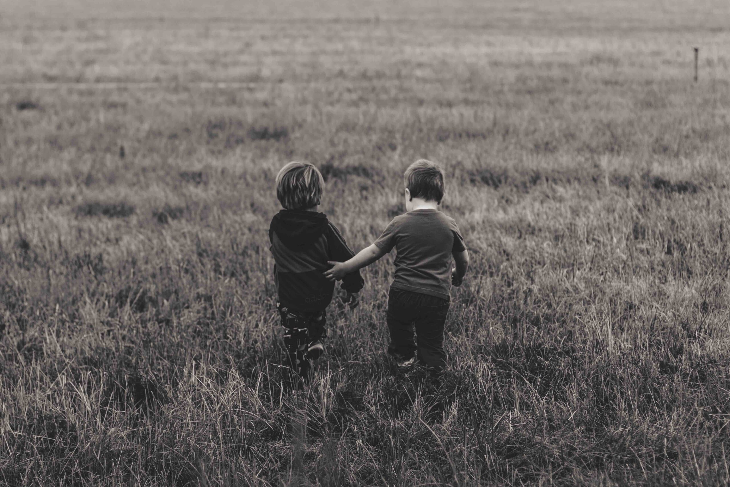 The Complete Guide to Florida Estate Planning: Wills, Trusts, and Asset Protection Explained
